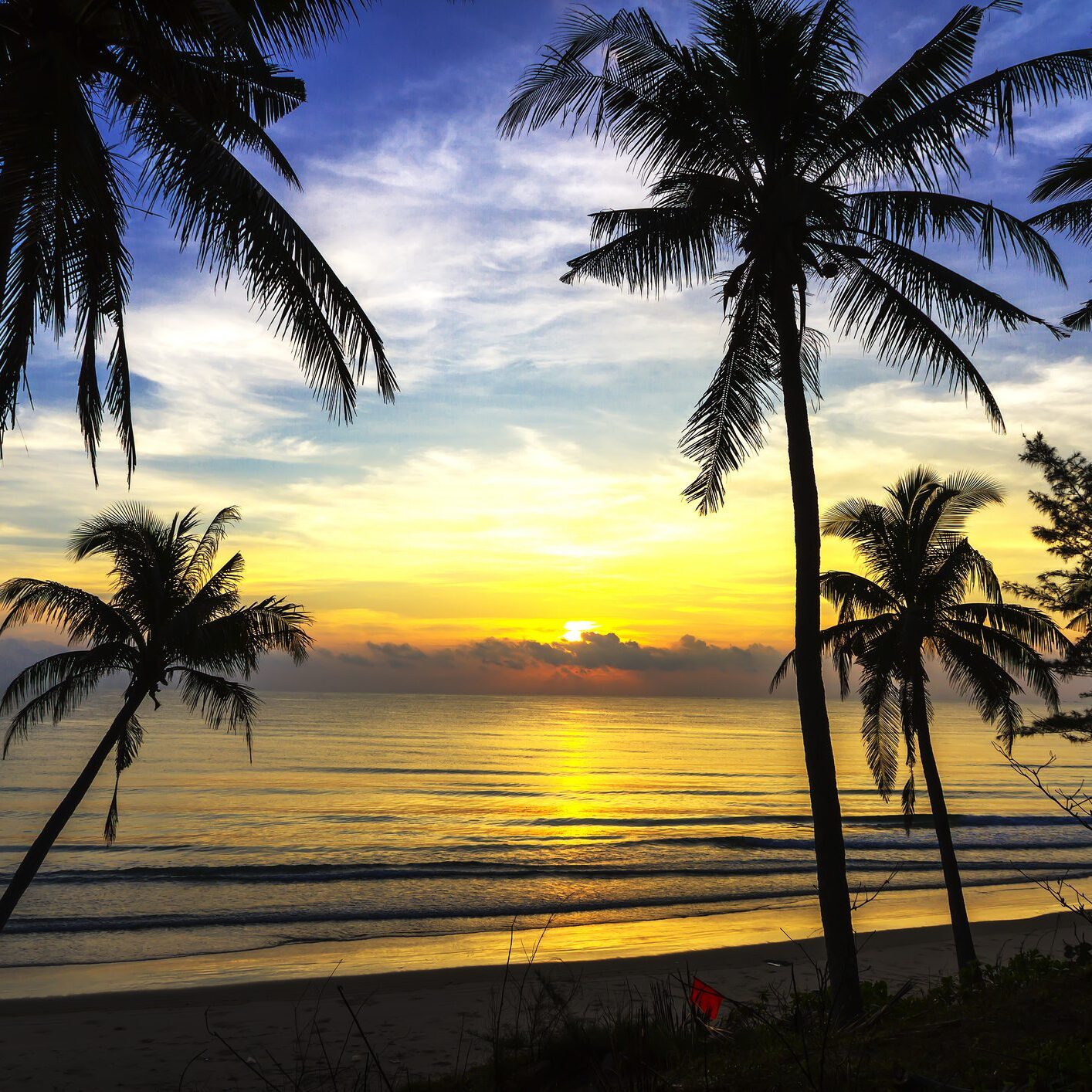 Sunrise morning